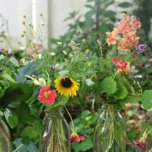 Flower Healing
