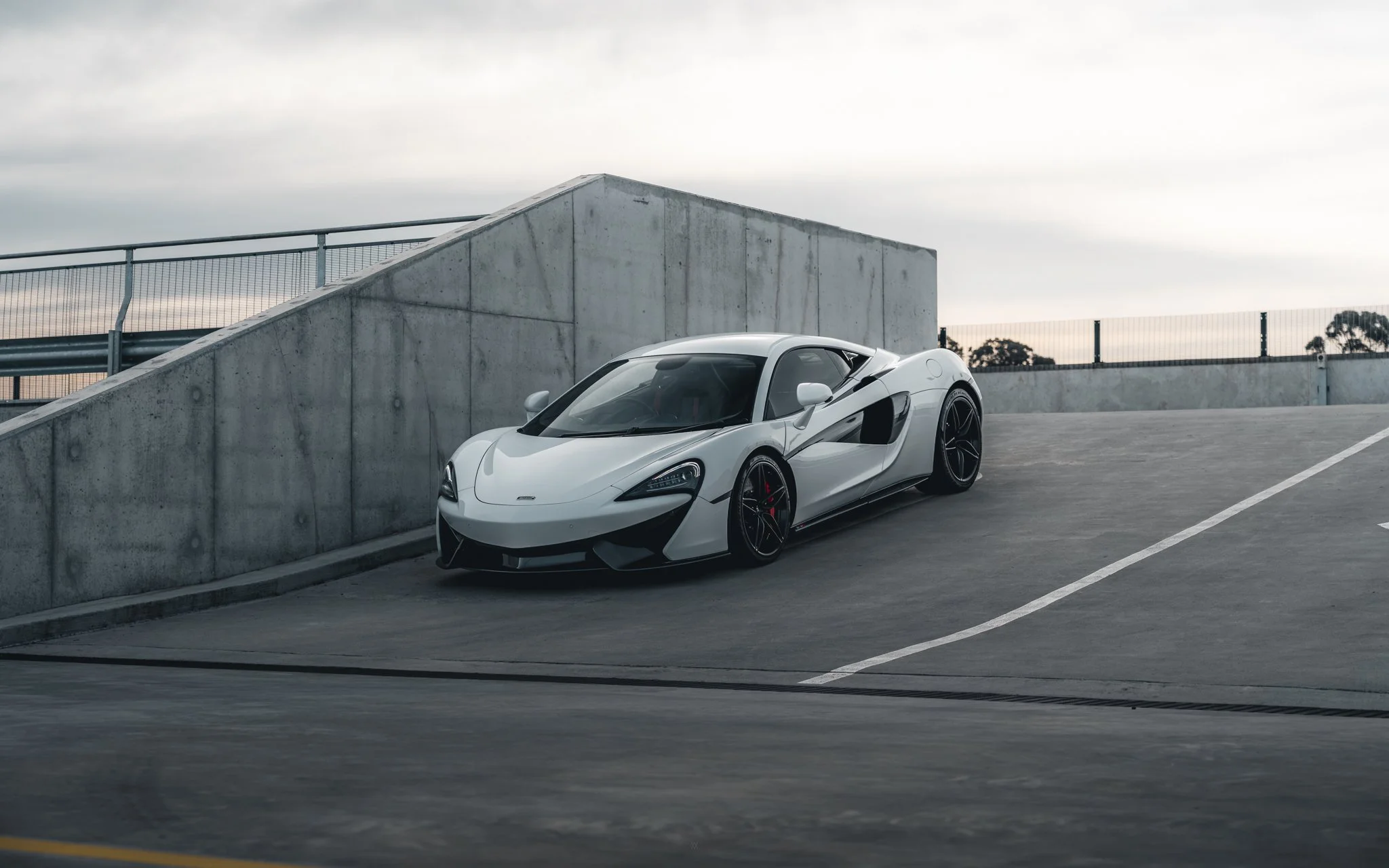 _A744553.jpg