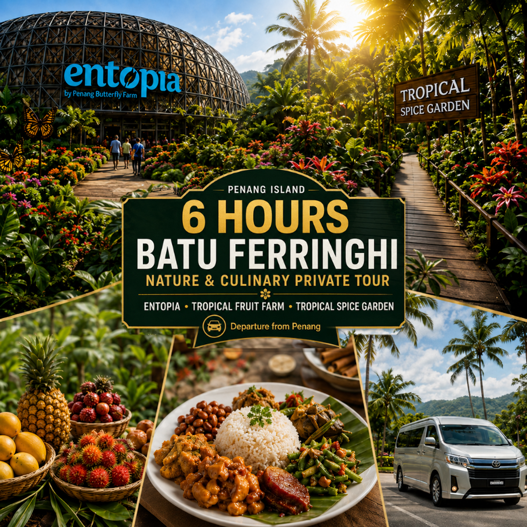 Penang Island | 6 Hours Batu Ferringhi Nature & Culinary Private Tour | Entopia, Tropical Fruit Farm & Tropical Spice Garden | Departure from Penang