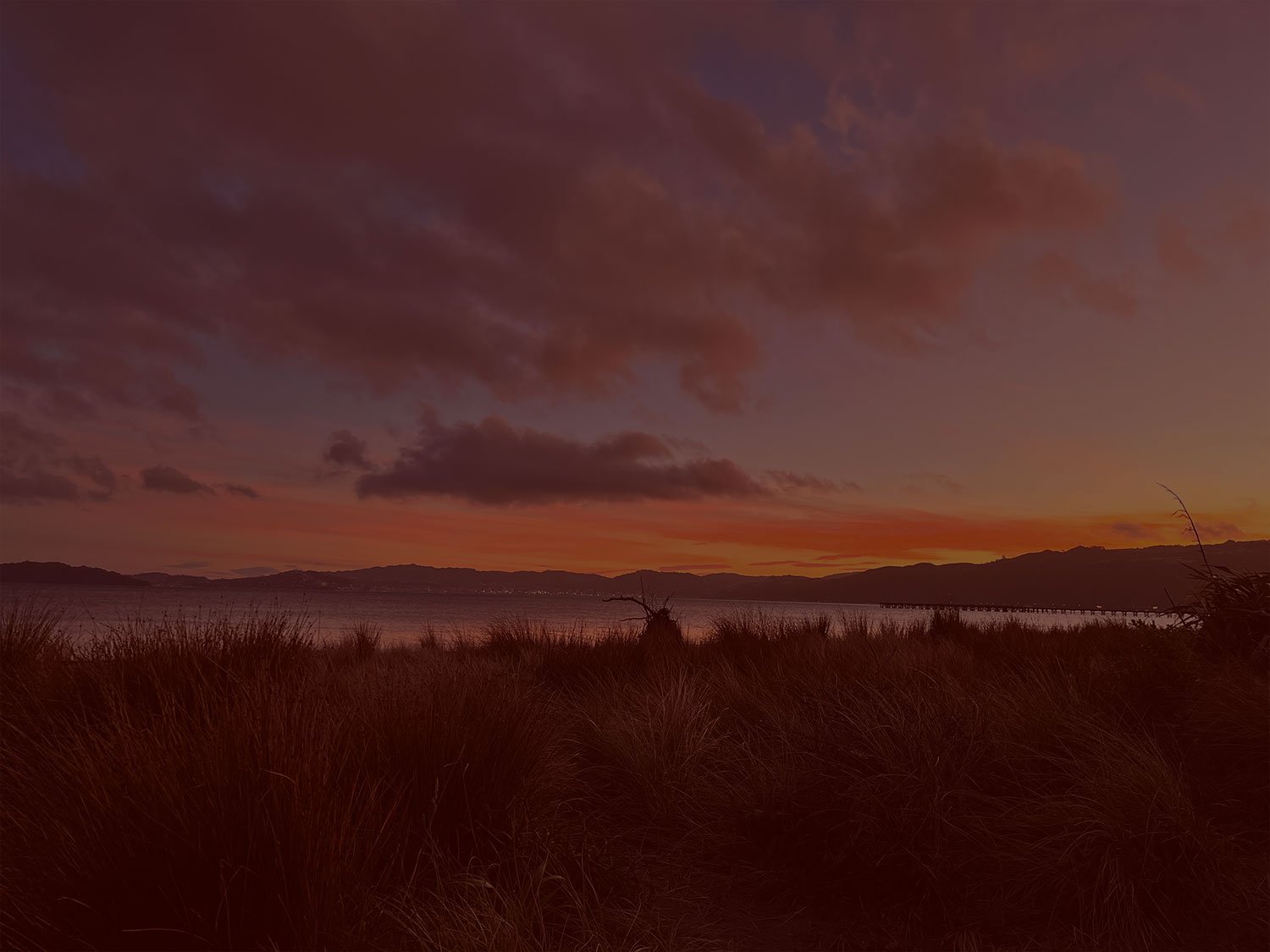 Sunset over a lake with dark clouds, distant mountains, and tall grass in the foreground, creating a peaceful landscape scene.