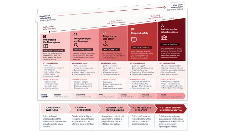Capability progression across the five modules, moving from foundational understanding to systems thinking and whole-school implementation.
