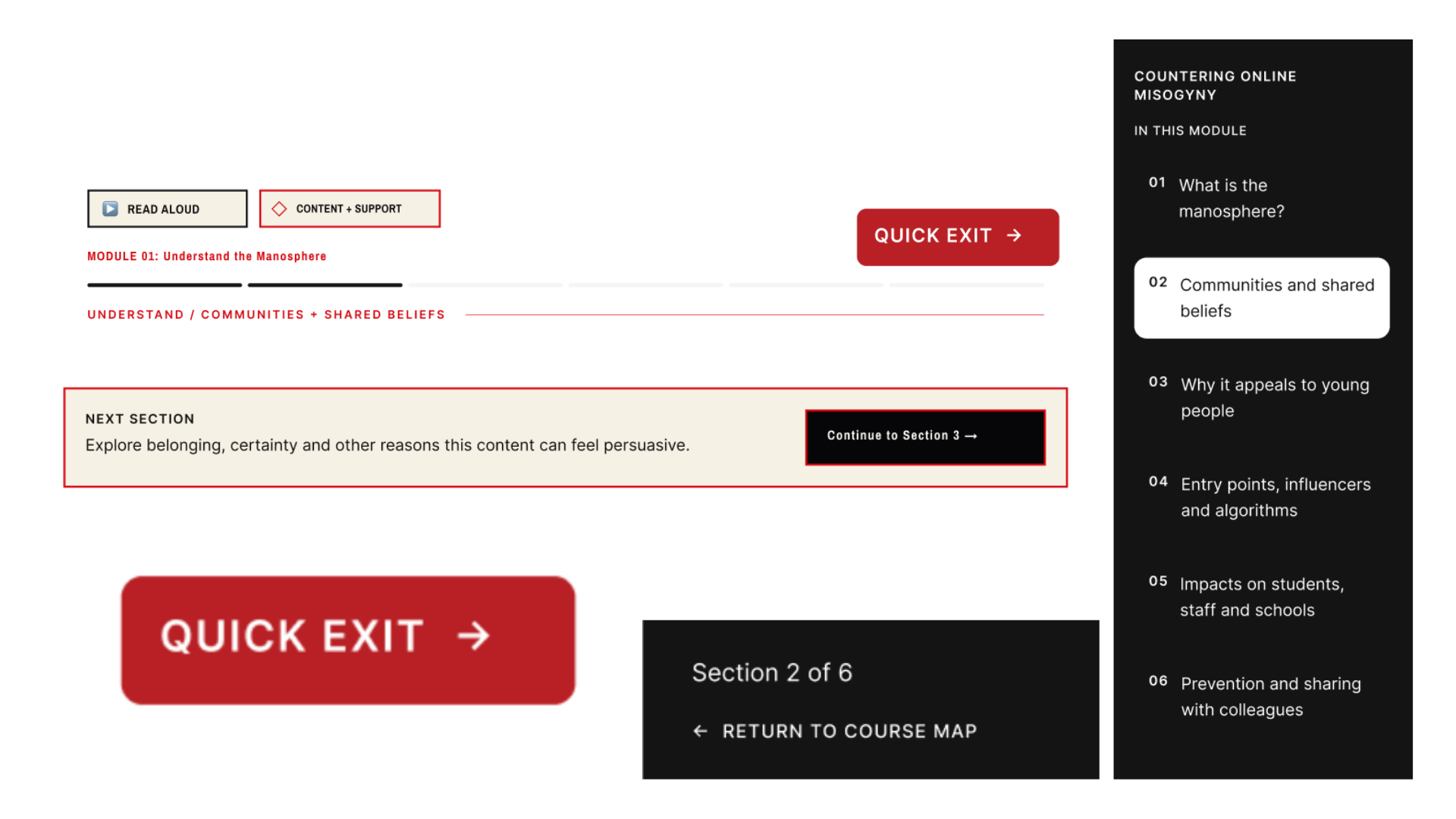 Interface details showing Read Aloud, Content and Support, Quick Exit, progress indicators, next-section navigation, return to course map and persistent module navigation.