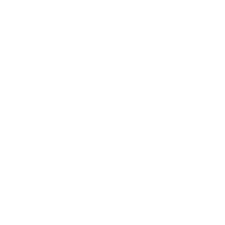 White globe icon with grid lines on a black background.