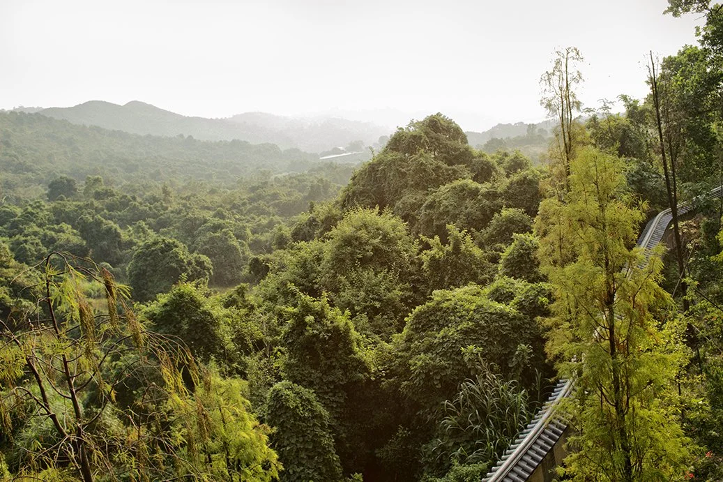 Lush green forested mountains with misty hills in the distance, featuring dense trees and a winding walkway on the right side.