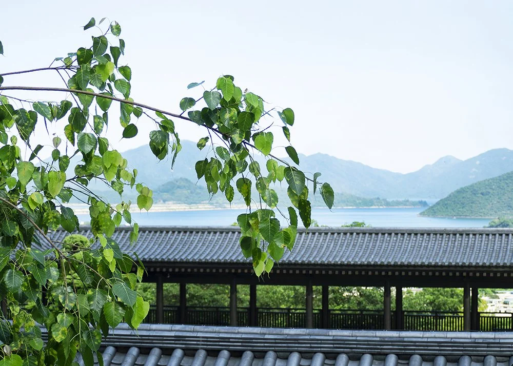 Green leaves with mountains and a lake in the background, viewed from a building with traditional tiled roofs.