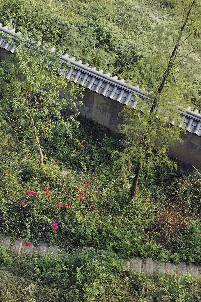Overhead view of a lush garden with various green bushes, small flowering plants, and trees, bordered by a stone pathway and a concrete wall with a tiled roof.