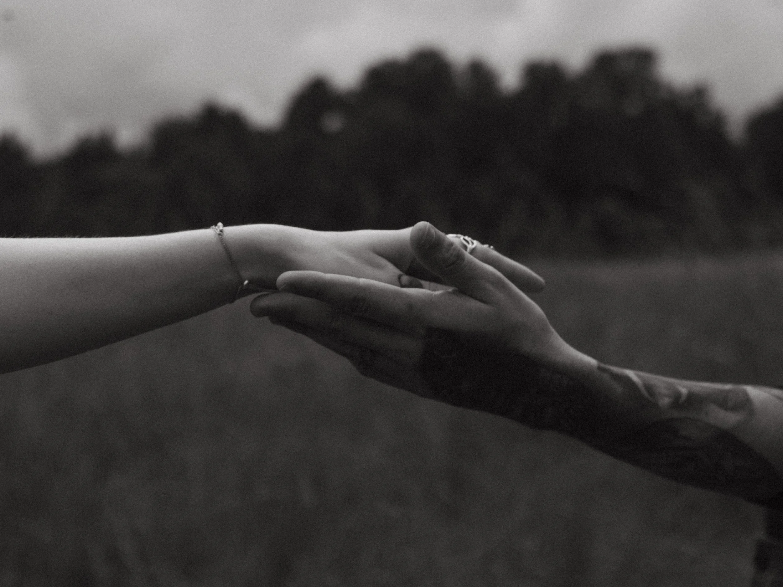 Black and white image of two hands gently touching, with a blurred outdoor background and trees.