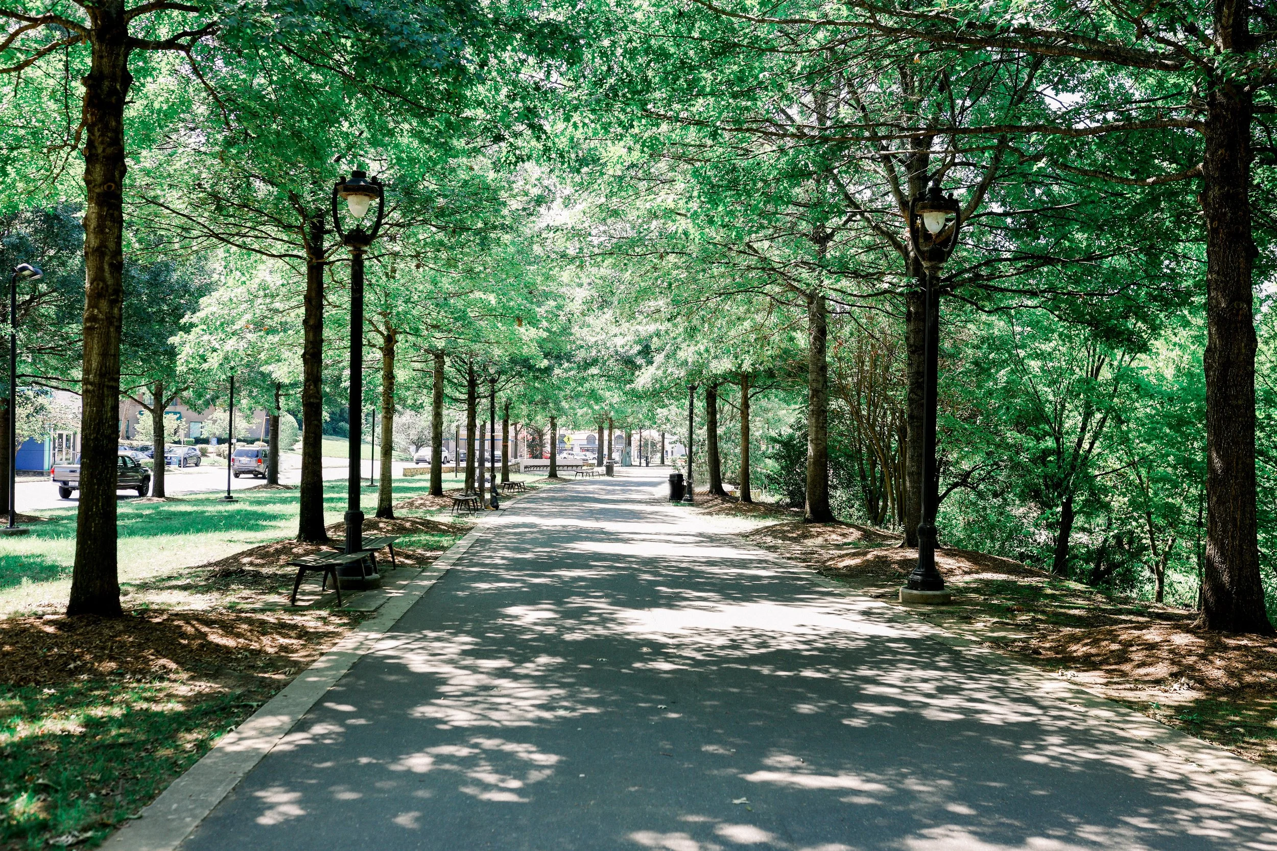 A scenic park pathway shaded by green trees with black lampposts and benches along the sidewalk, cars parked in the background.