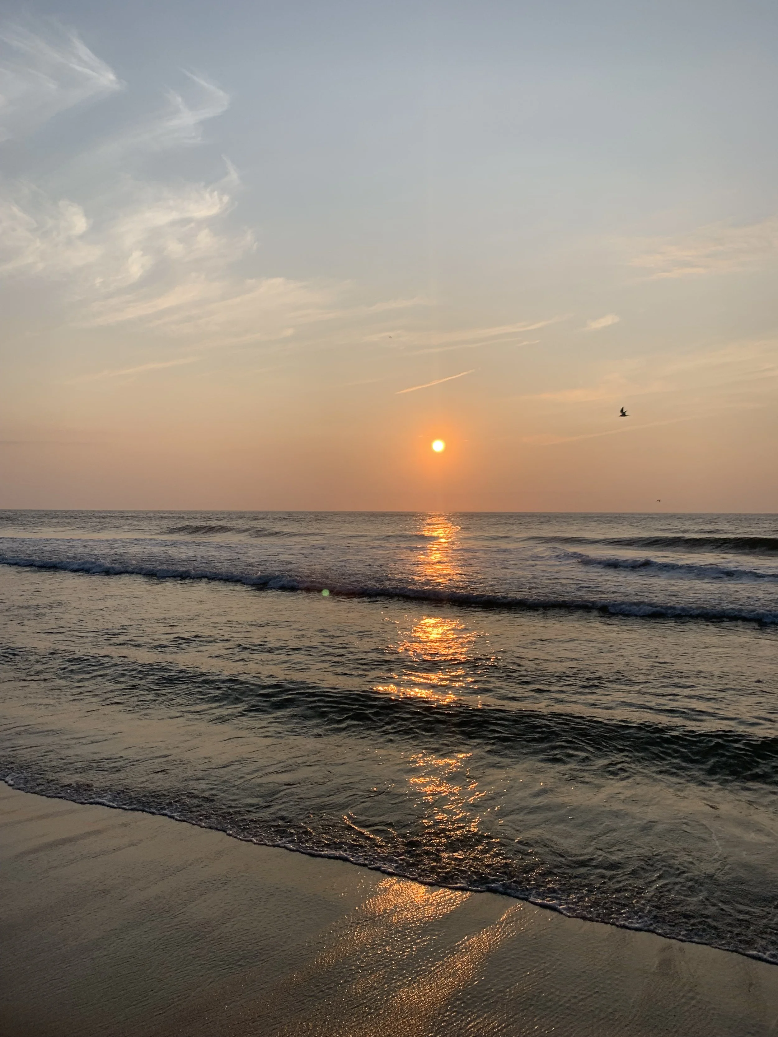 Sunset over the ocean with a bird flying in the sky and waves gently hitting the shore.