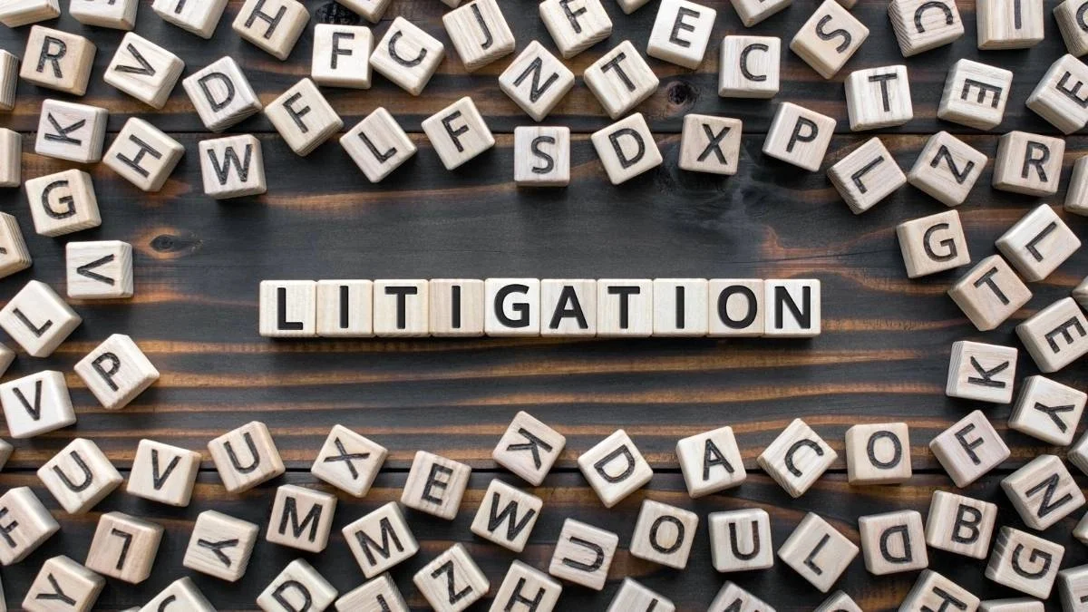Ebrahim &amp; Ebrahim &amp; Lamsaard: A lesson in what not to do in litigation
