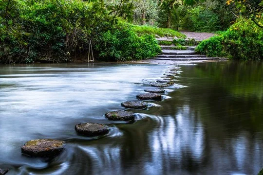 Steps to Consider Before Taking the Next Step.