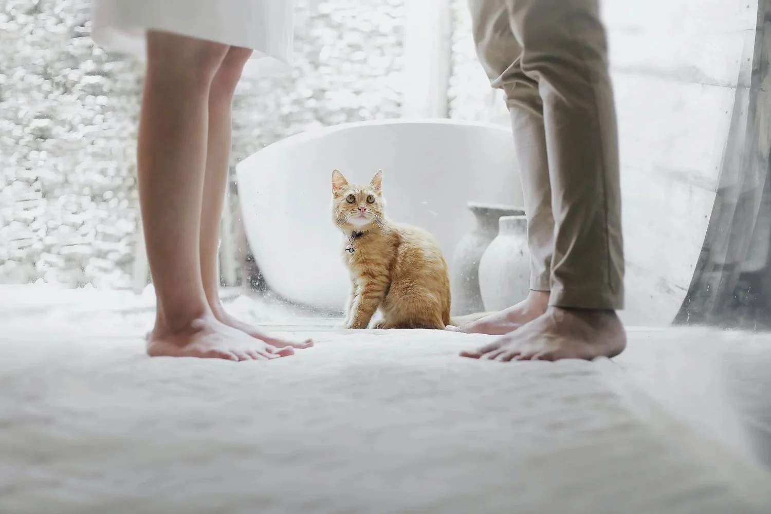 I want a Divorce! Twelve things you need to know