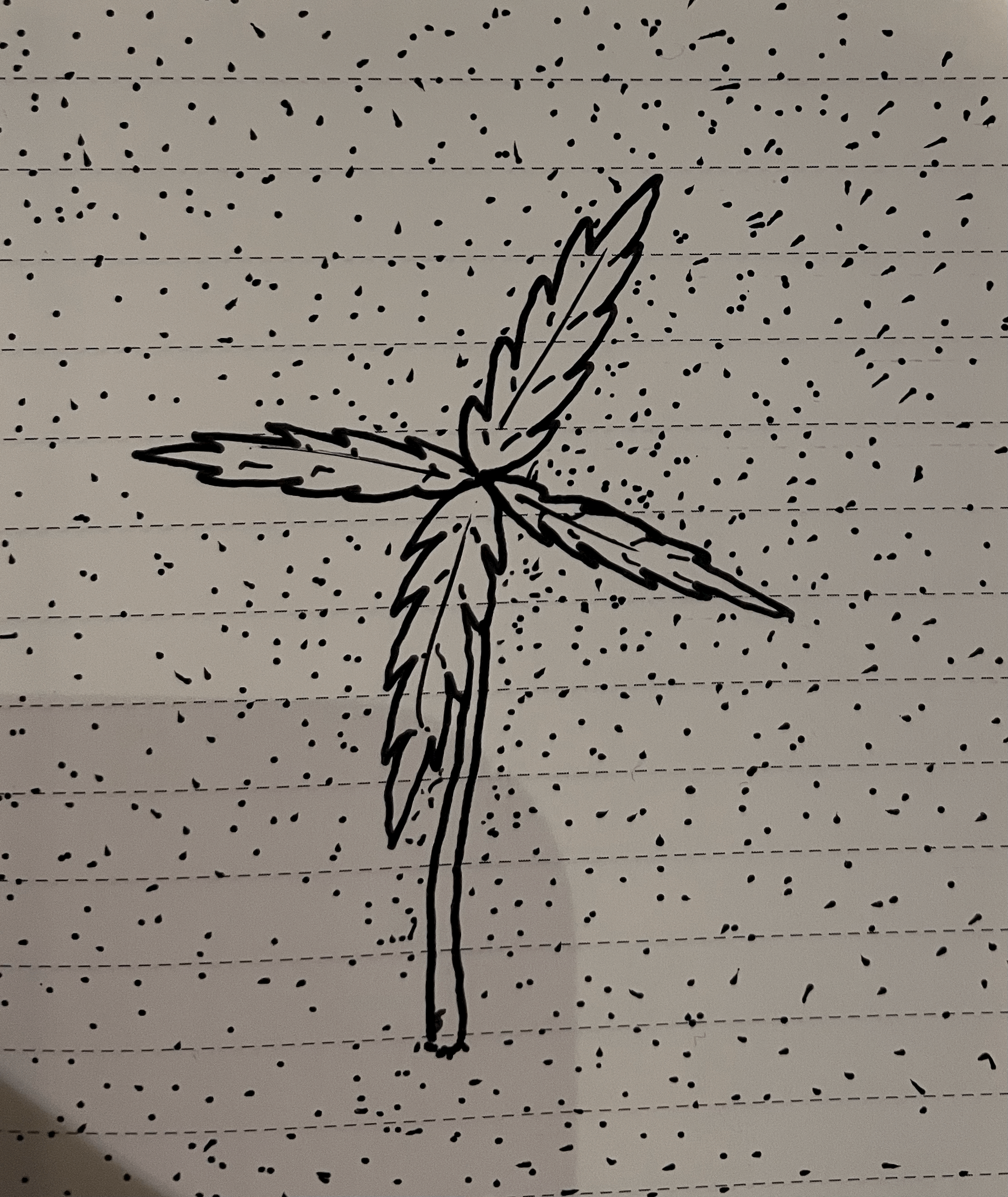 The Incident in the Garden: What Happened?