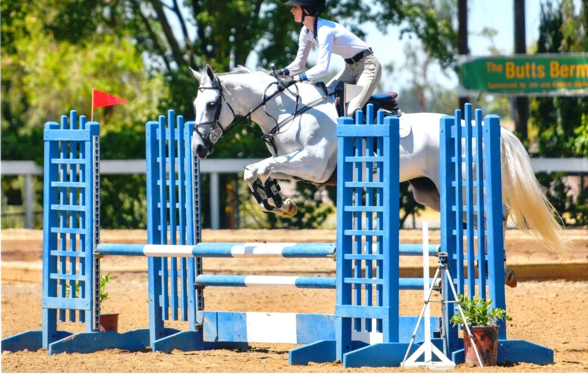 Photos of Seascape Sport Horses riders competing in hunters, jumpers, and equitation on the A-circuit in Gilroy, CA and across NorCal.