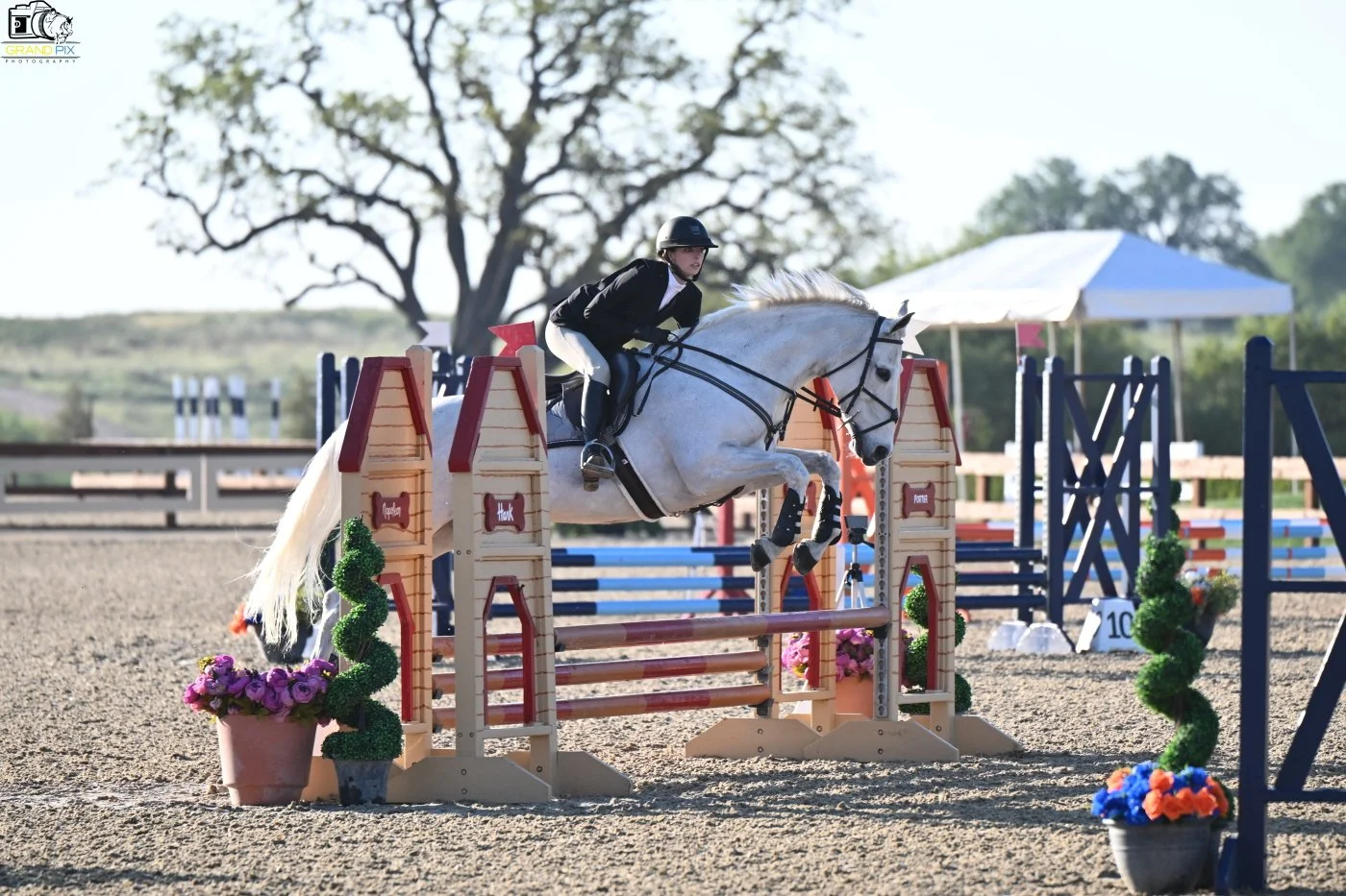 Photos of Seascape Sport Horses riders competing in hunters, jumpers, and equitation on the A-circuit in Gilroy, CA and across NorCal.