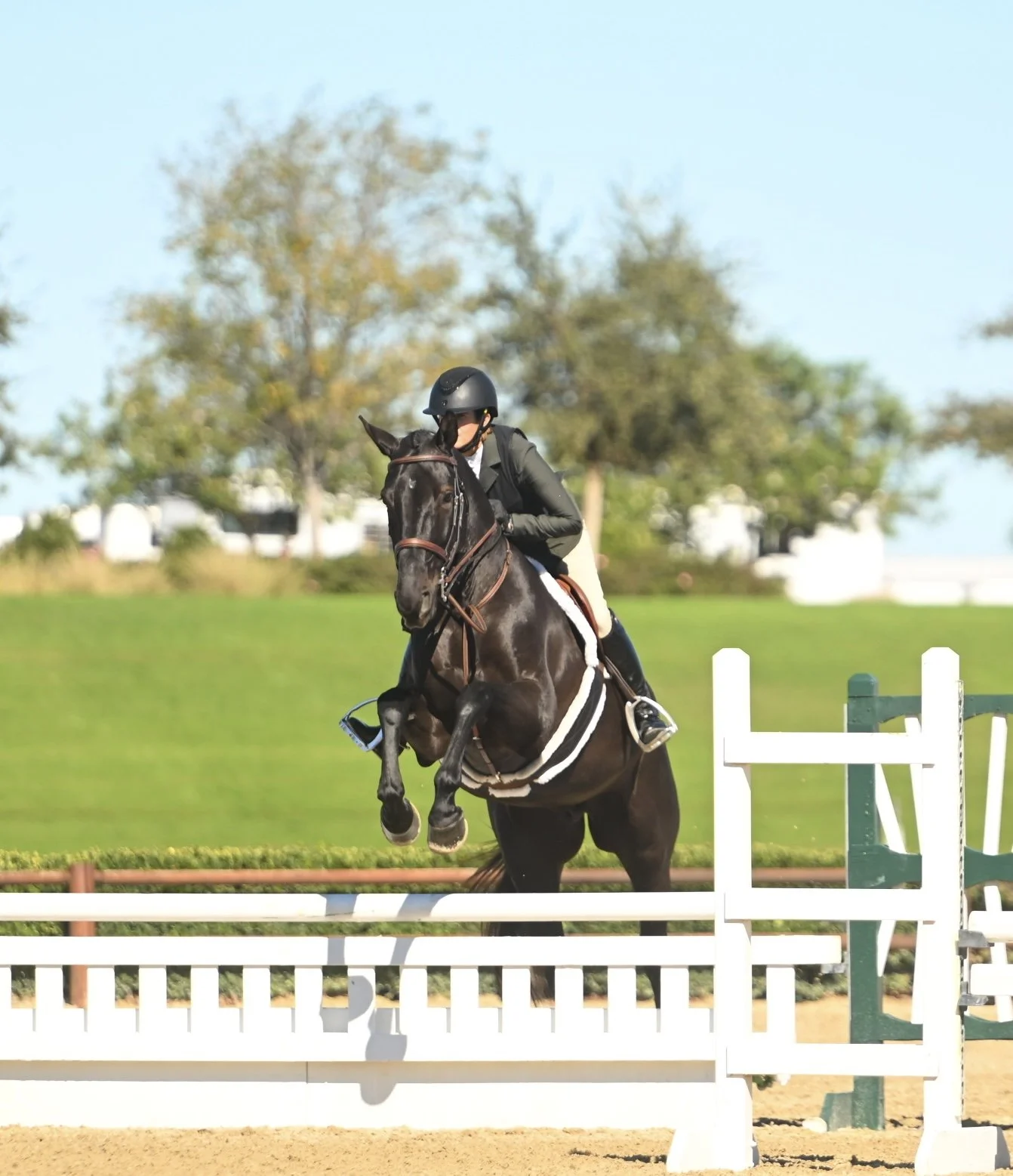 Photos of Seascape Sport Horses riders competing in hunters, jumpers, and equitation on the A-circuit in Gilroy, CA and across NorCal.