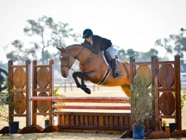 Photos of Seascape Sport Horses riders competing in hunters, jumpers, and equitation on the A-circuit in Gilroy, CA and across NorCal.