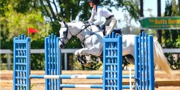 Photos of Seascape Sport Horses riders competing in hunters, jumpers, and equitation on the A-circuit in Gilroy, CA and across NorCal.
