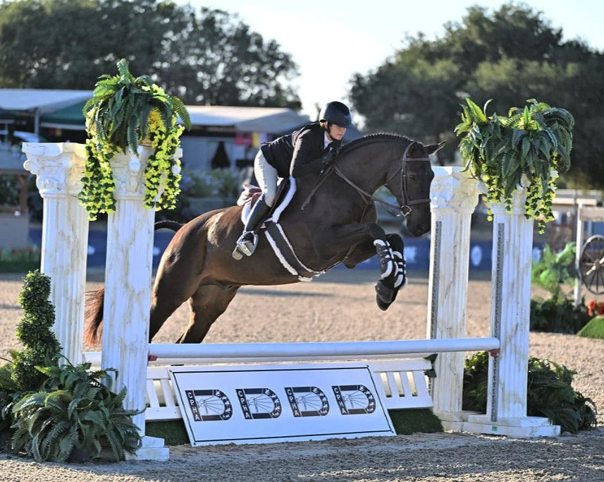 Photos of Seascape Sport Horses riders competing in hunters, jumpers, and equitation on the A-circuit in Gilroy, CA and across NorCal.