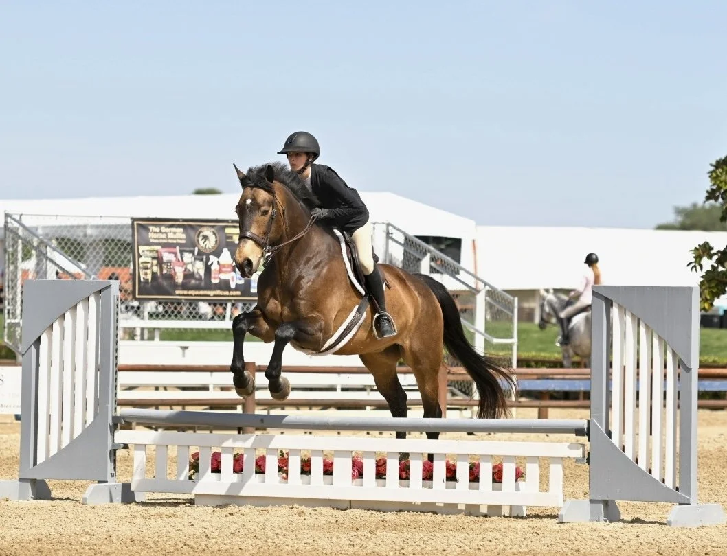 A rider on a brown horse jumping over an obstacle during a horse jumping event at an outdoor arena.