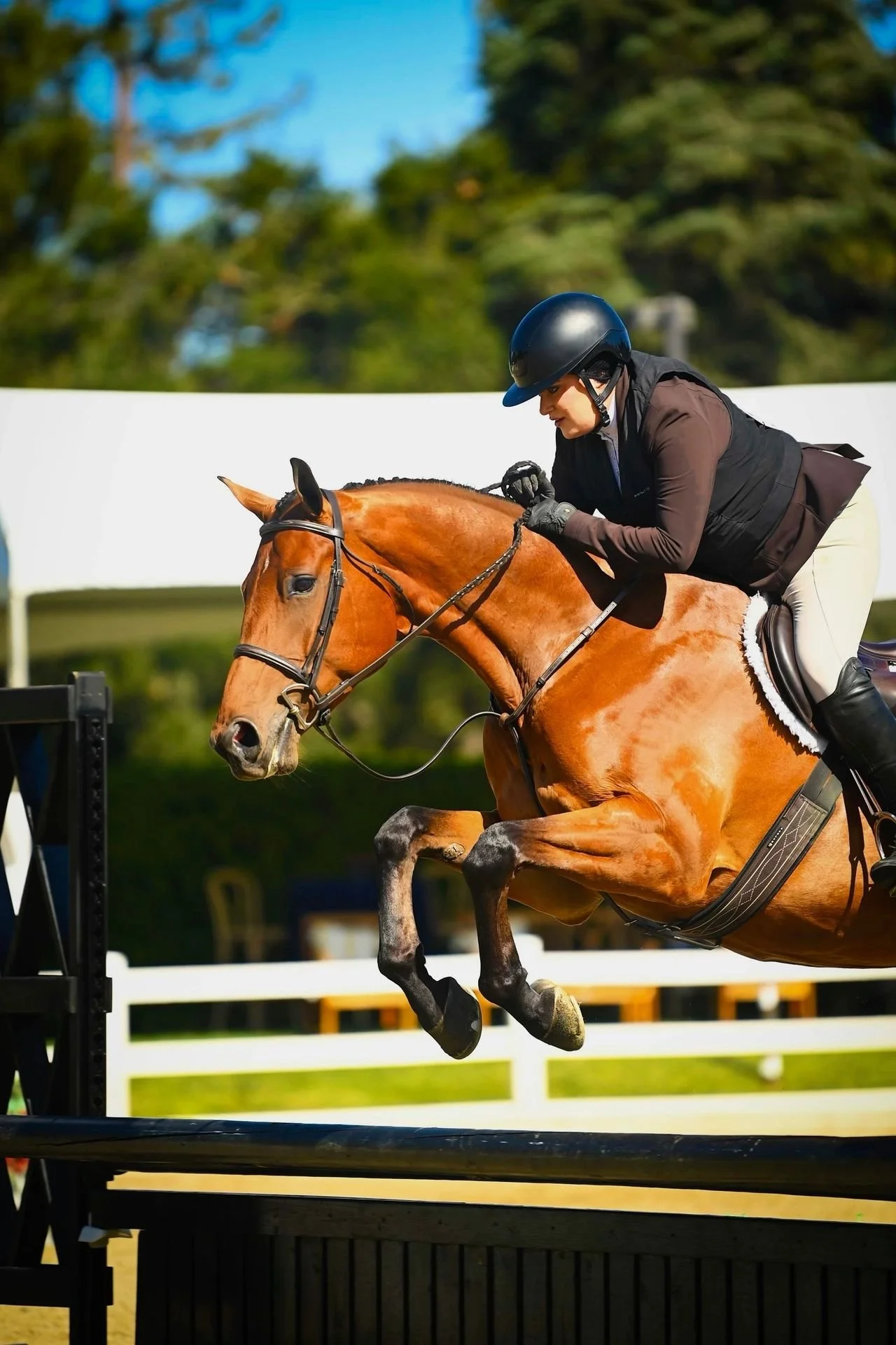 Photos of Seascape Sport Horses riders competing in hunters, jumpers, and equitation on the A-circuit in Gilroy, CA and across NorCal.