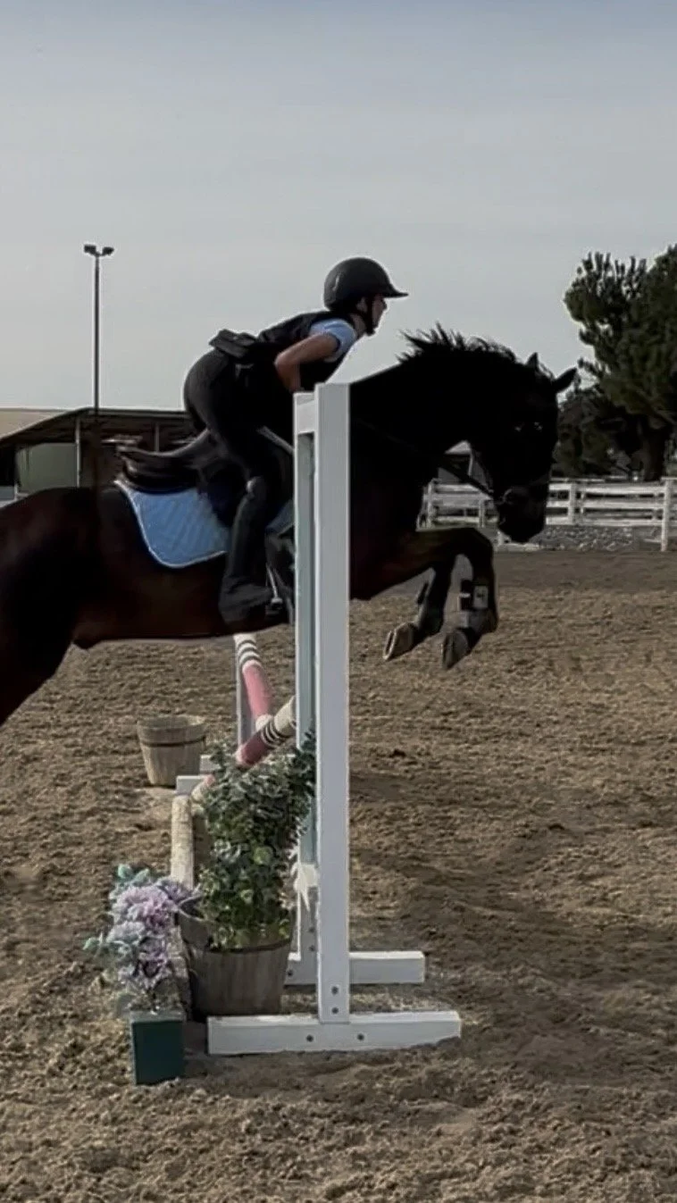 Child riding a horse jumping over a colorful obstacle in an outdoor equestrian arena