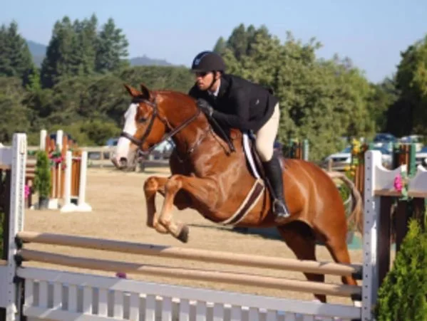 A person riding a horse over jumps in the hunter ring