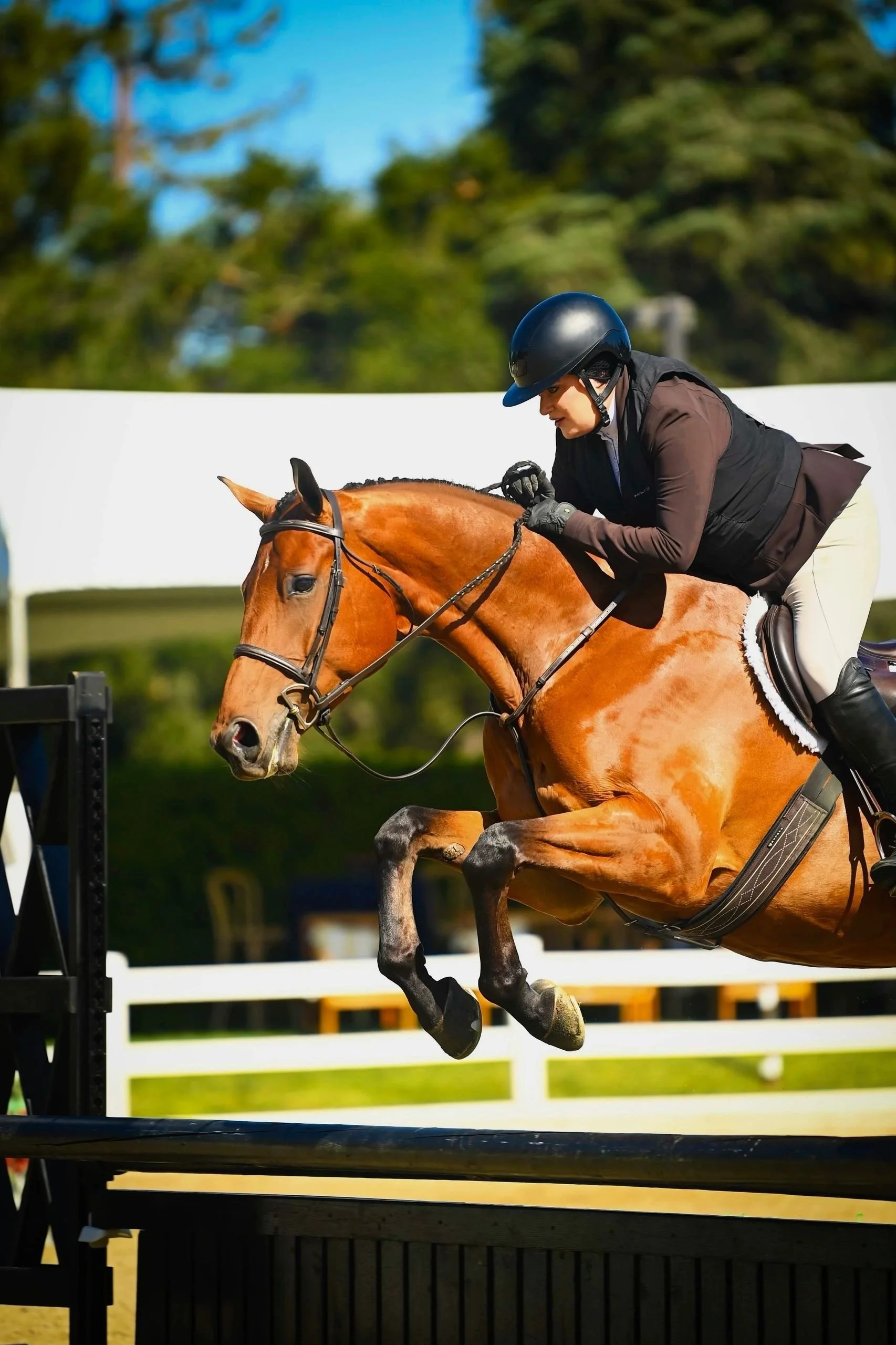 A person wearing a black helmet and riding gear on a galloping brown horse during an equestrian event, with a white fence and green trees in the background.