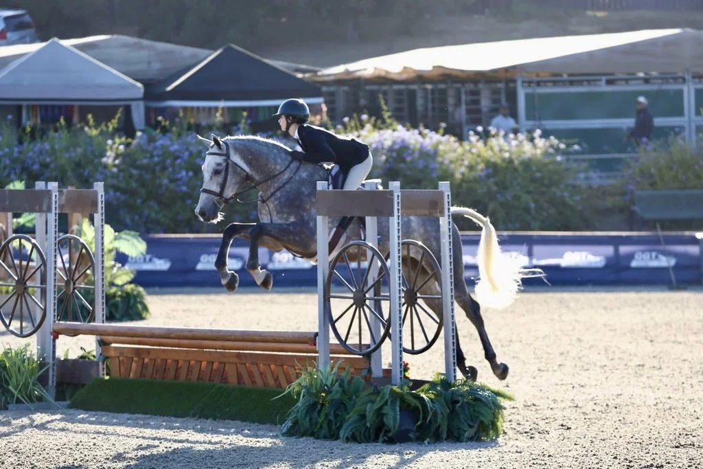 A person riding a gray horse jumps over an obstacle in an equestrian event.