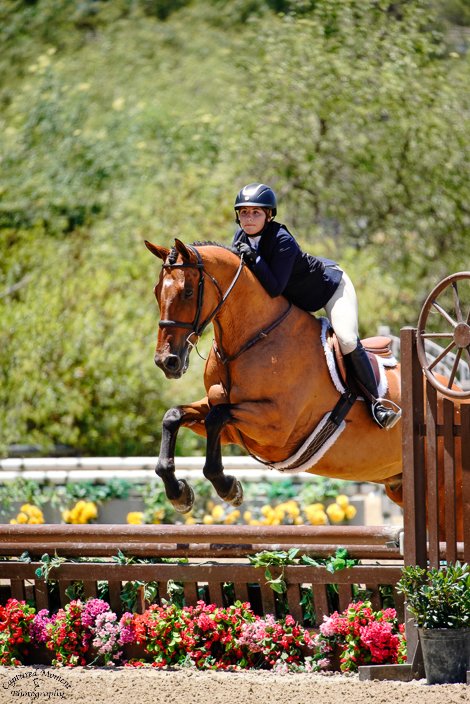 Photos of Seascape Sport Horses riders competing in hunters, jumpers, and equitation on the A-circuit in Gilroy, CA and across NorCal.