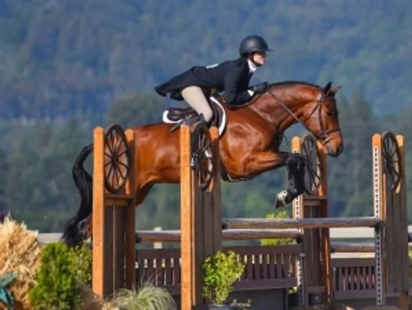Photos of Seascape Sport Horses riders competing in hunters, jumpers, and equitation on the A-circuit in Gilroy, CA and across NorCal.
