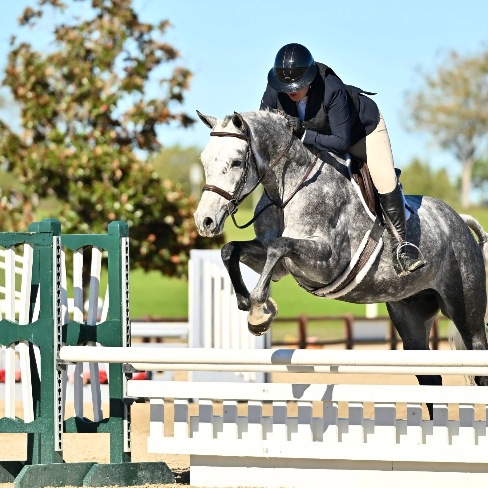 Photos of Seascape Sport Horses riders competing in hunters, jumpers, and equitation on the A-circuit in Gilroy, CA and across NorCal.
