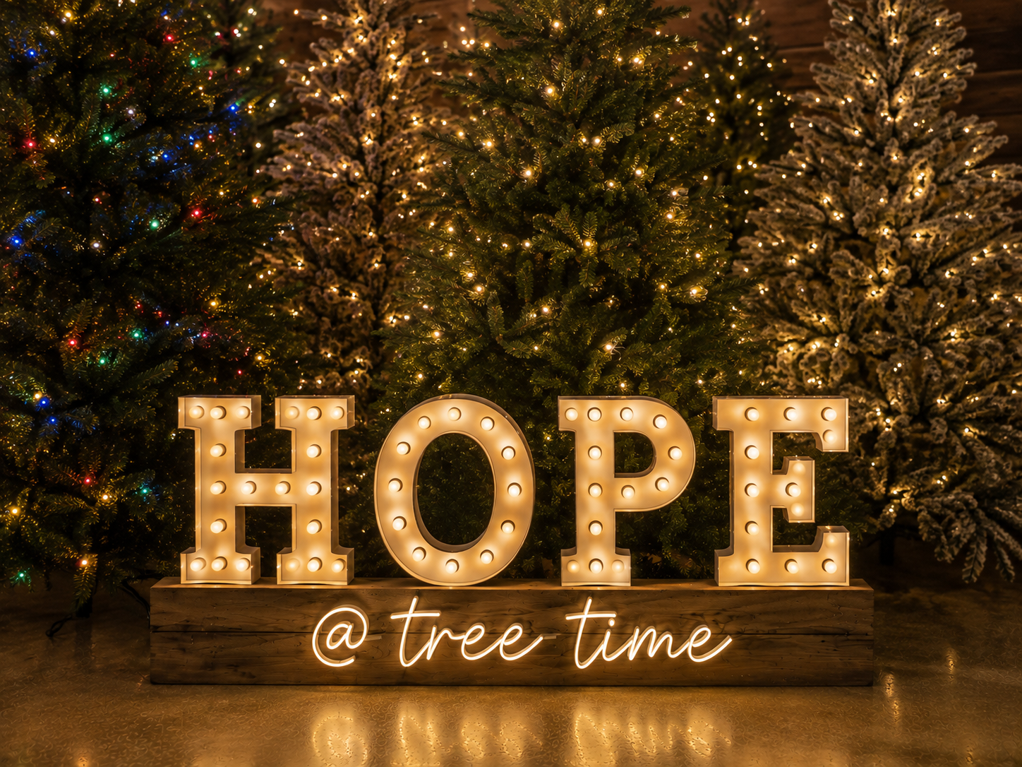 Hope Dinner