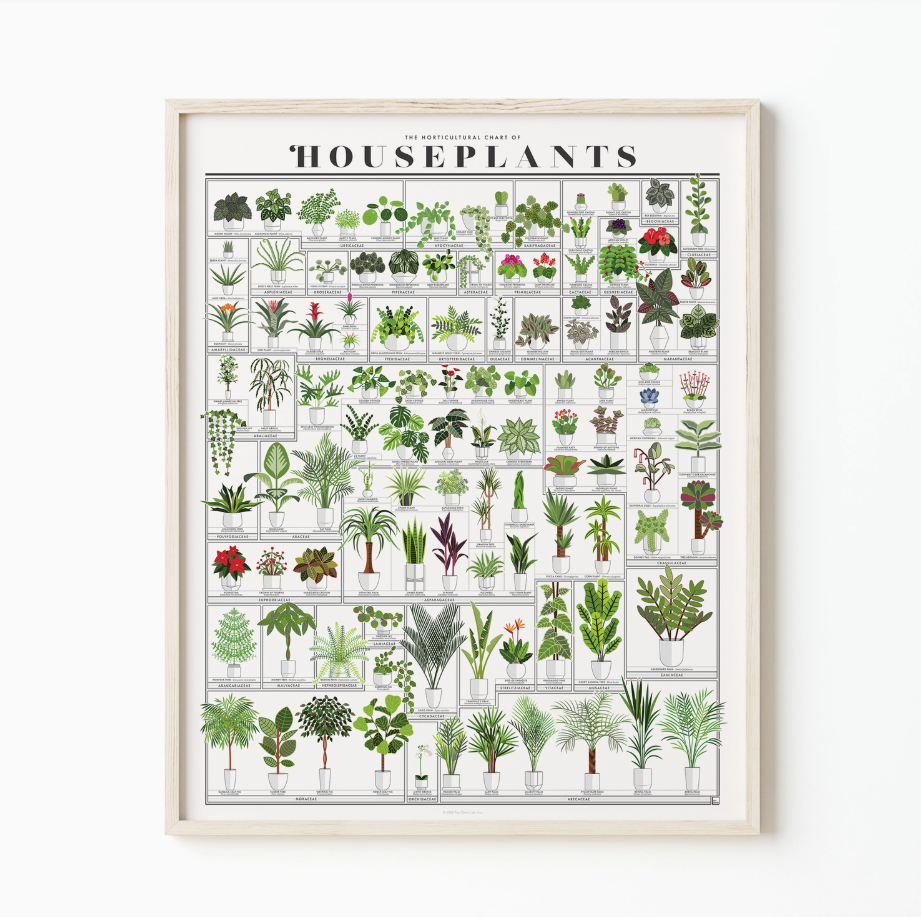 The Horticultural Chart of Houseplants | 16x20