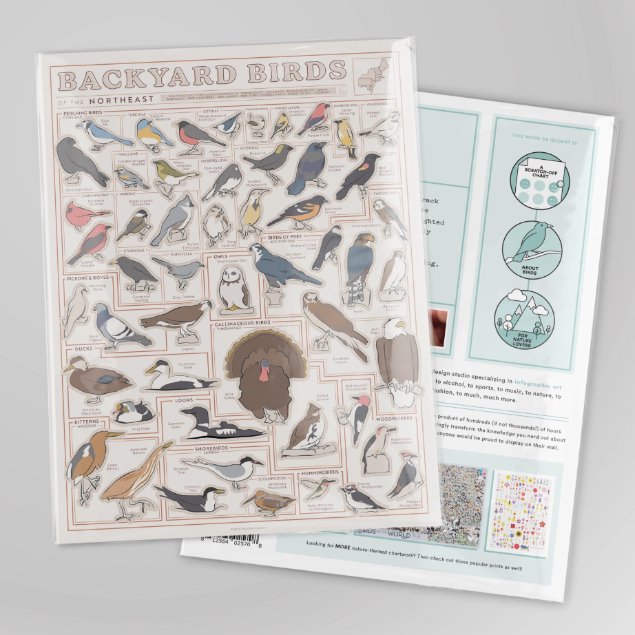 Birds of the Northeast Scratch-Off Chart