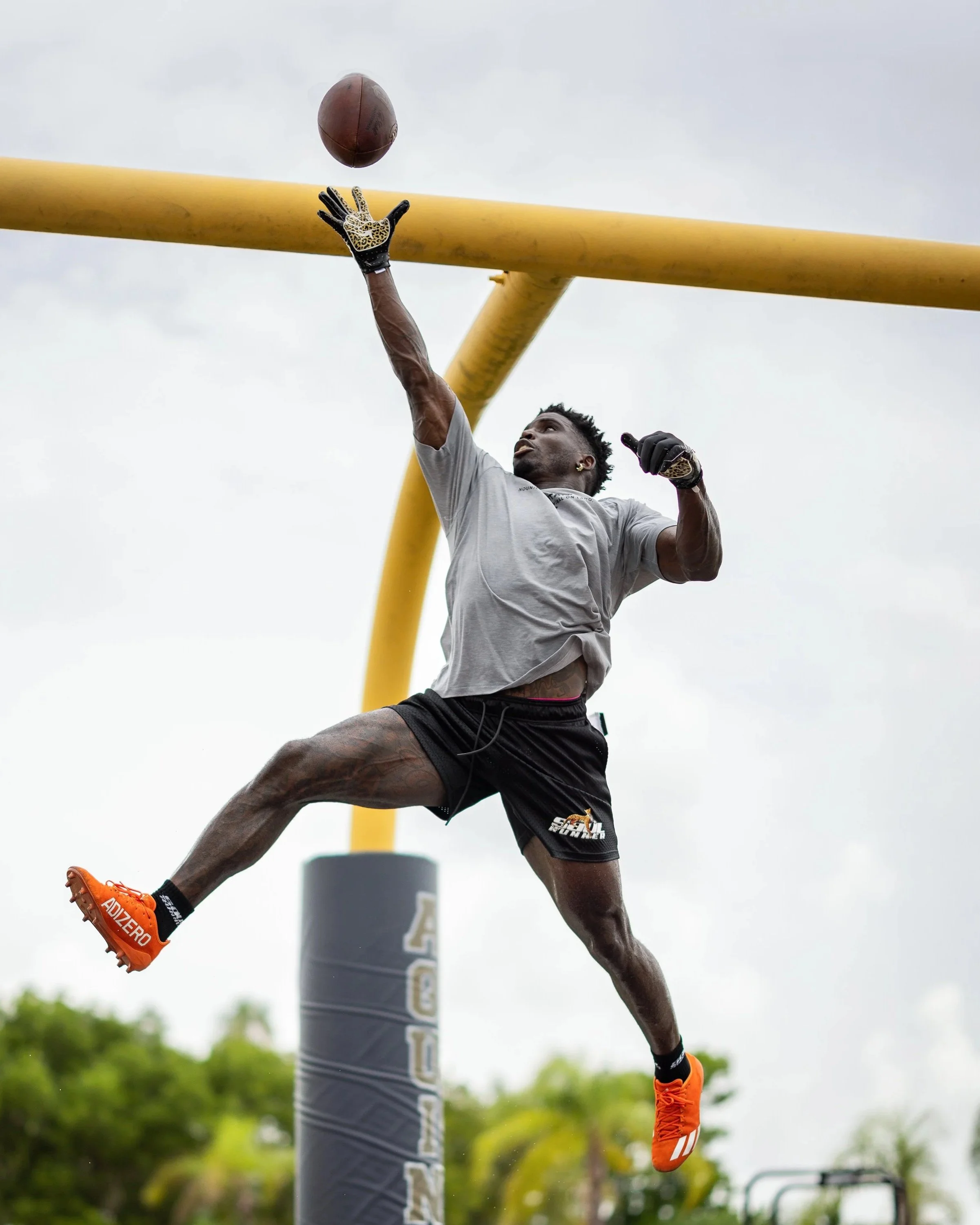 Tyreek-one-handed-01.jpg