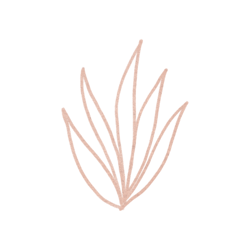 Sora Sol | Stylized Aloe Vera Plant