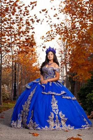 Off-the-Shoulder Layered Quinceañera Dress
Style: GVC3120
Size: S - 2XL
Royal Blue
