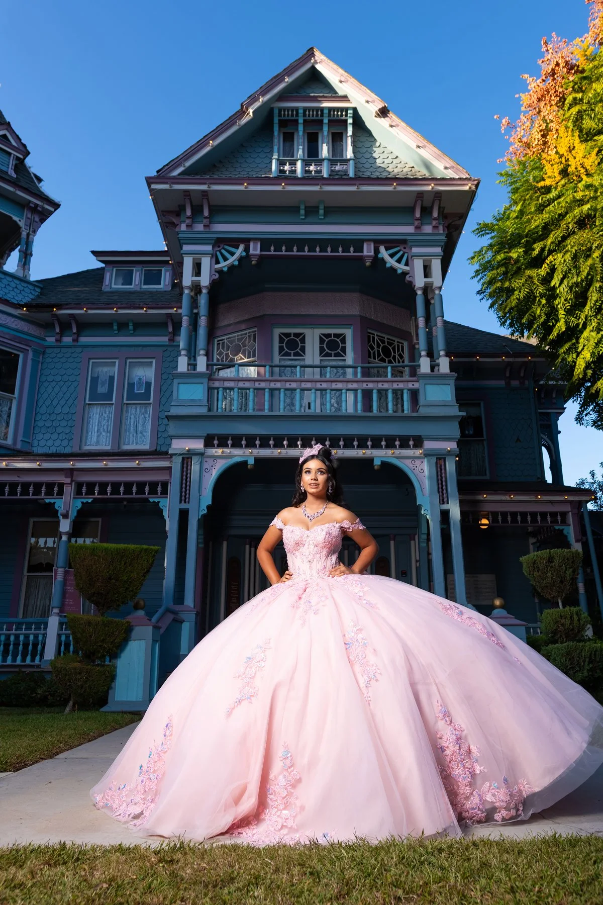 Quince dress w/  Large Removable Bow
Style: GVC3130
Size: XS - 3XL
Blush