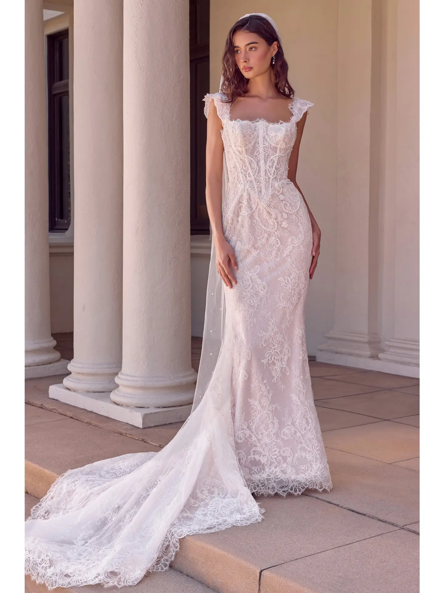 Fitted Lace Mermaid Bridal Gown