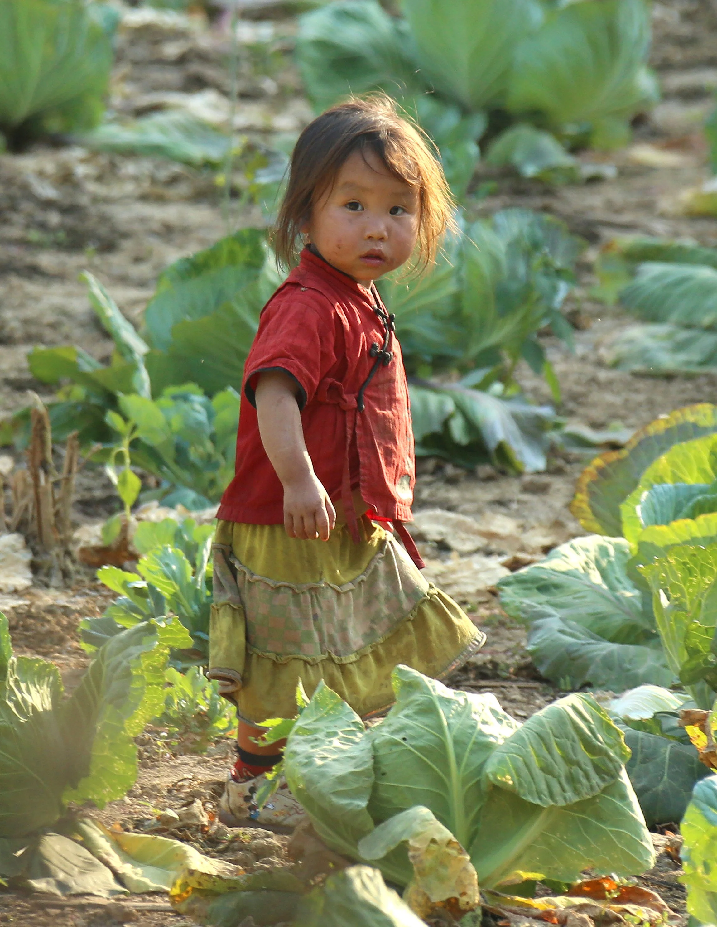 A young child with messy hair and dirt on their face, wearing a red shirt and a layered skirt, standing among large green plants in a field.