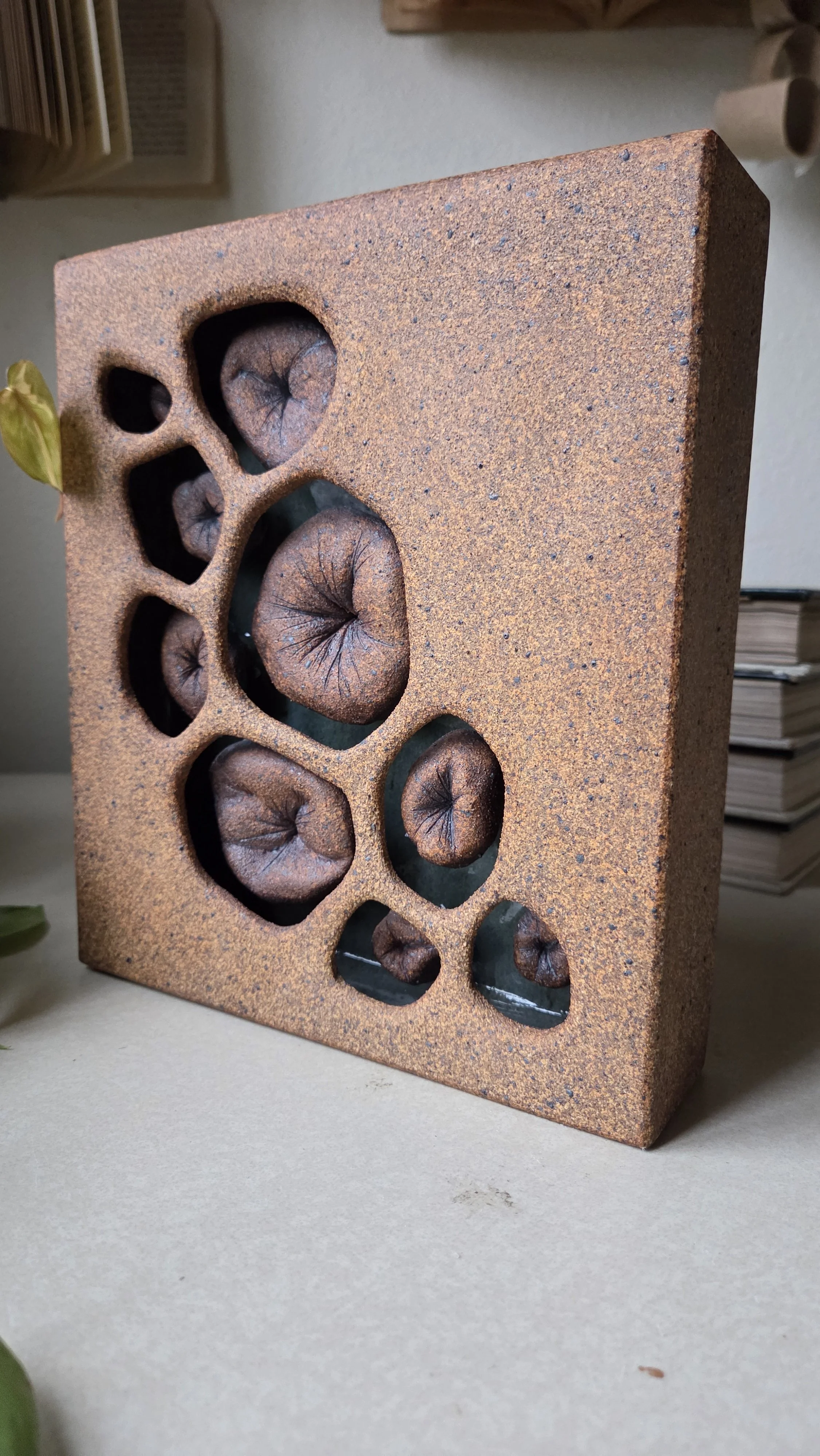 1000043188.jpg