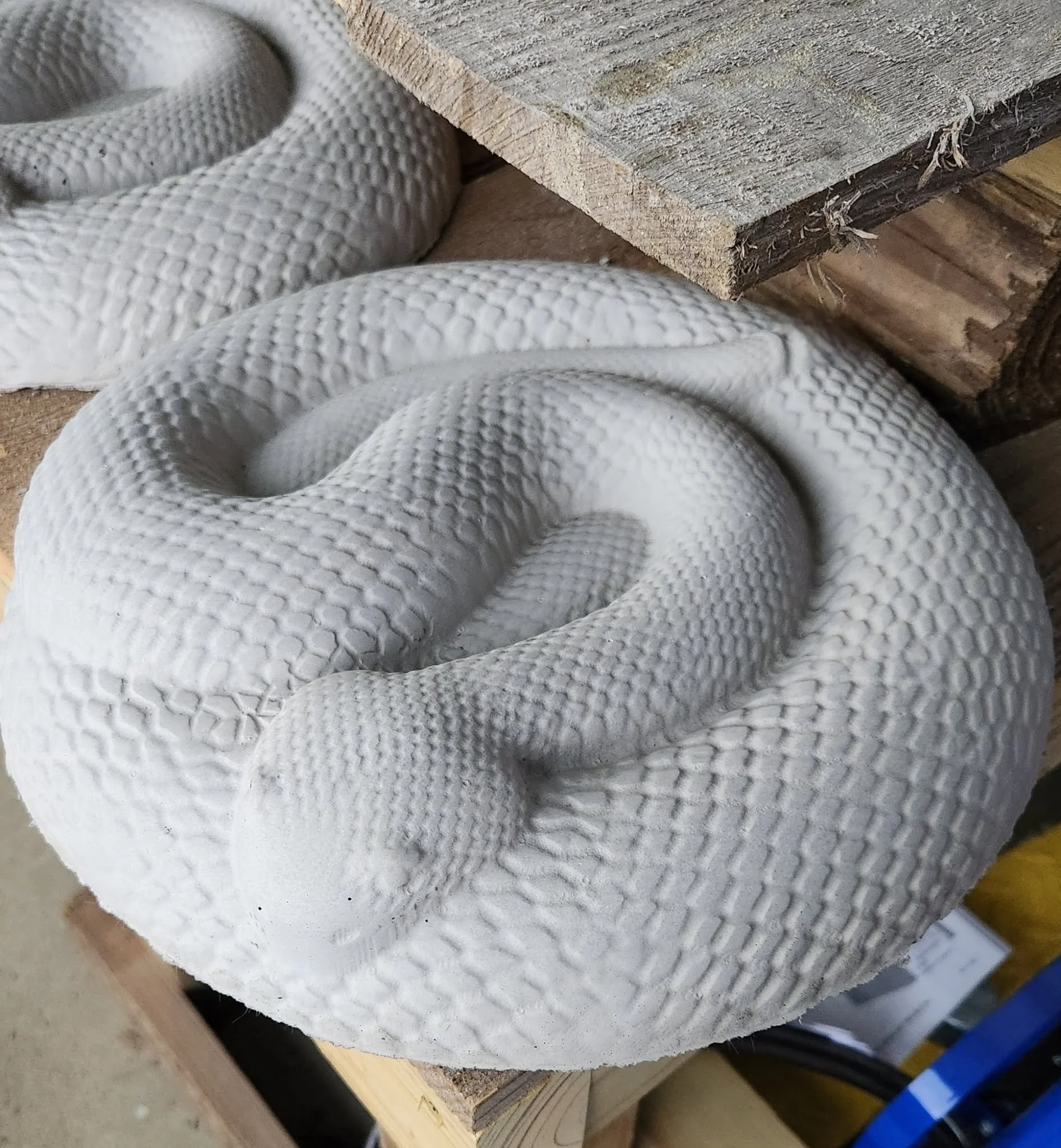 Coiled Snake