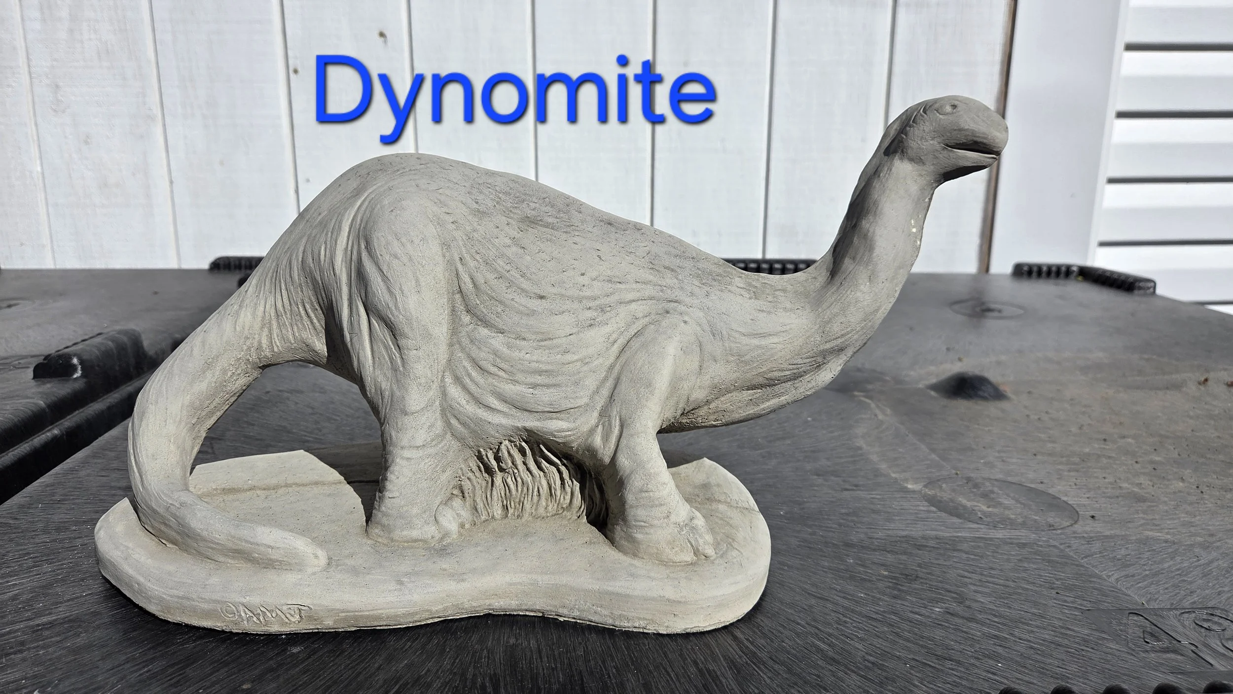 47559.jpg