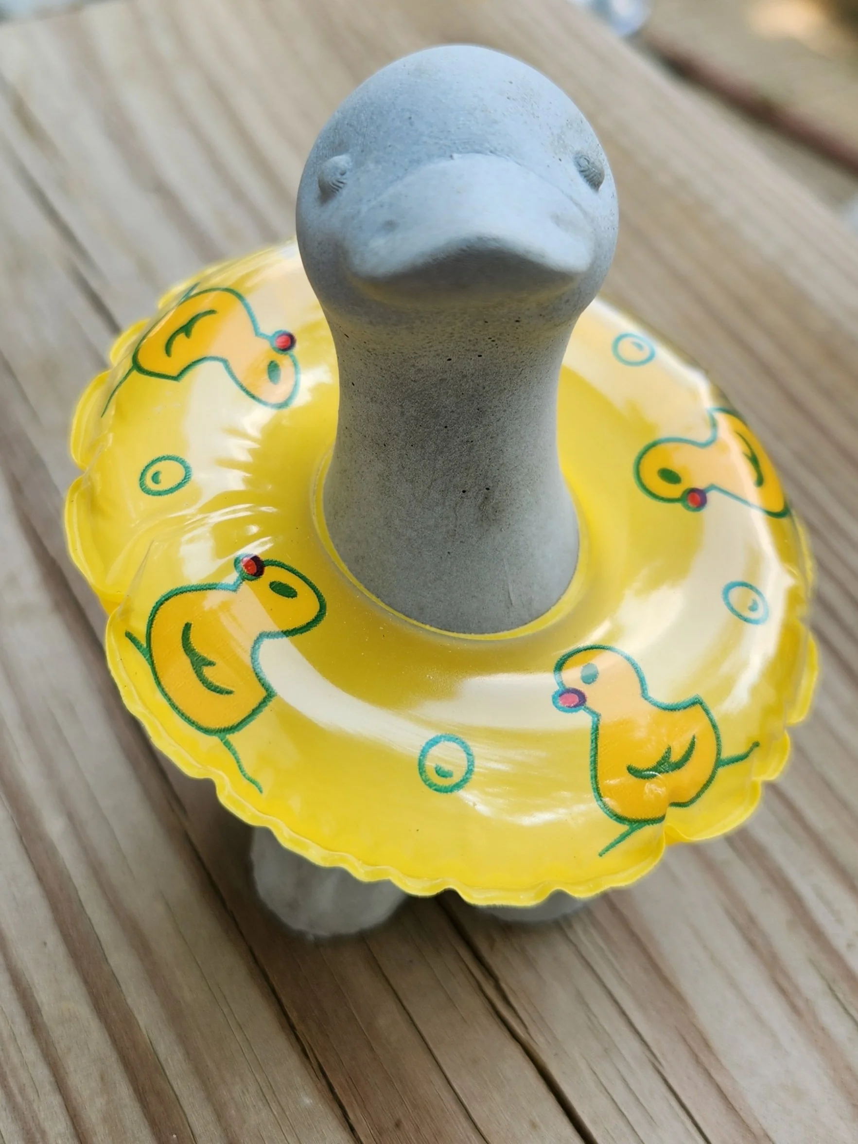 32621.jpg
