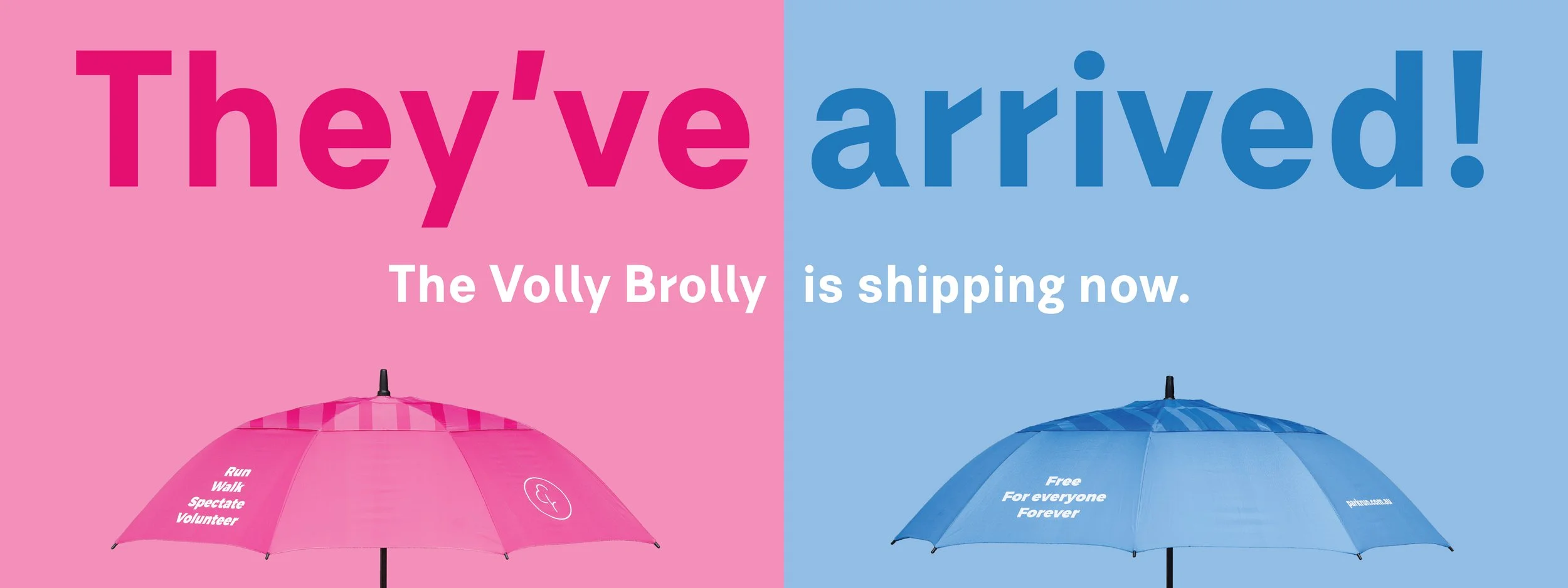 shopify banner.jpg
