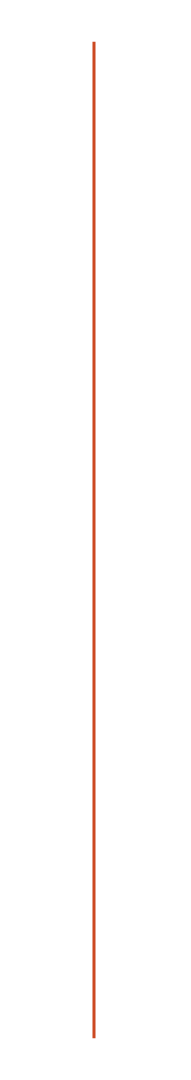 Decorative vertical orange line