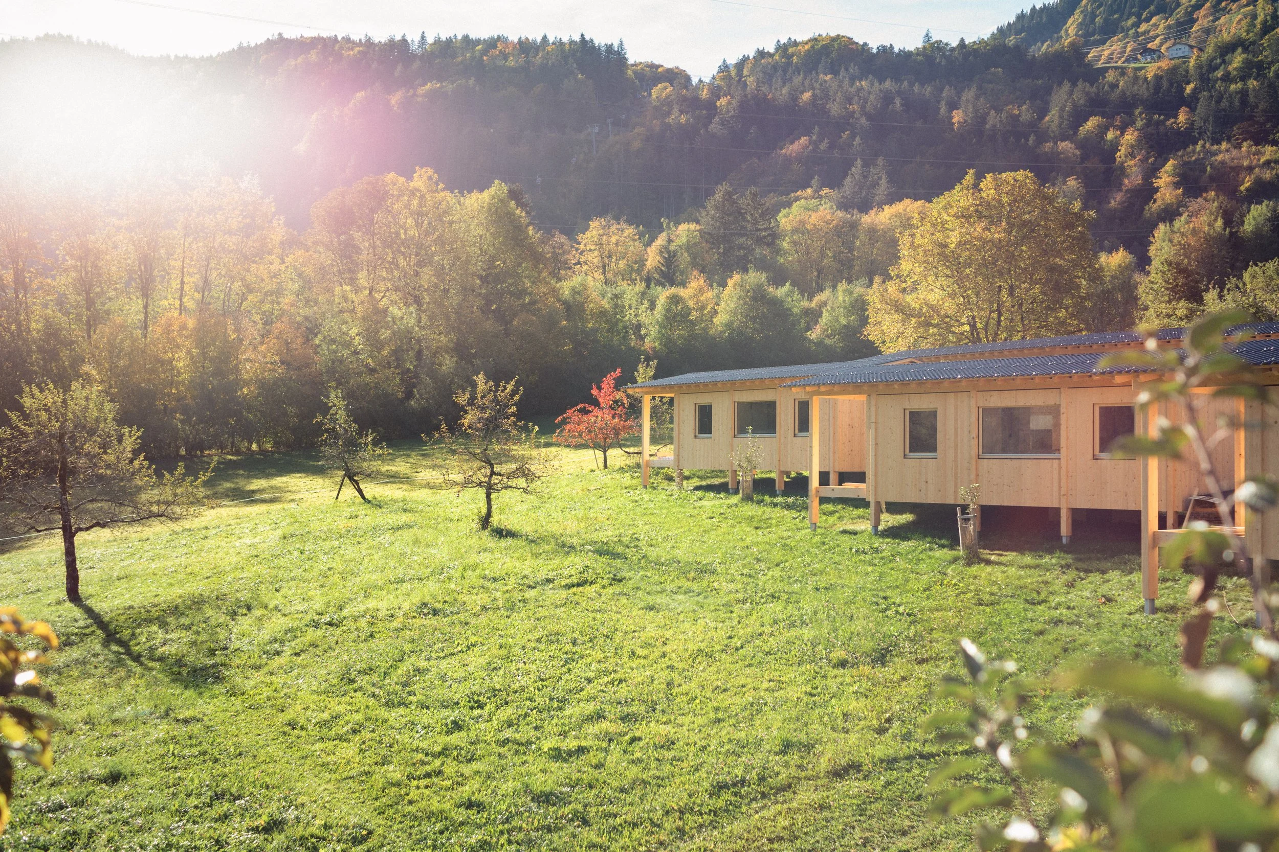 Ein Haus im Grünen mit Bäumen und Hügel im Hintergrund, Sonnenlicht fällt auf die Szenerie.
