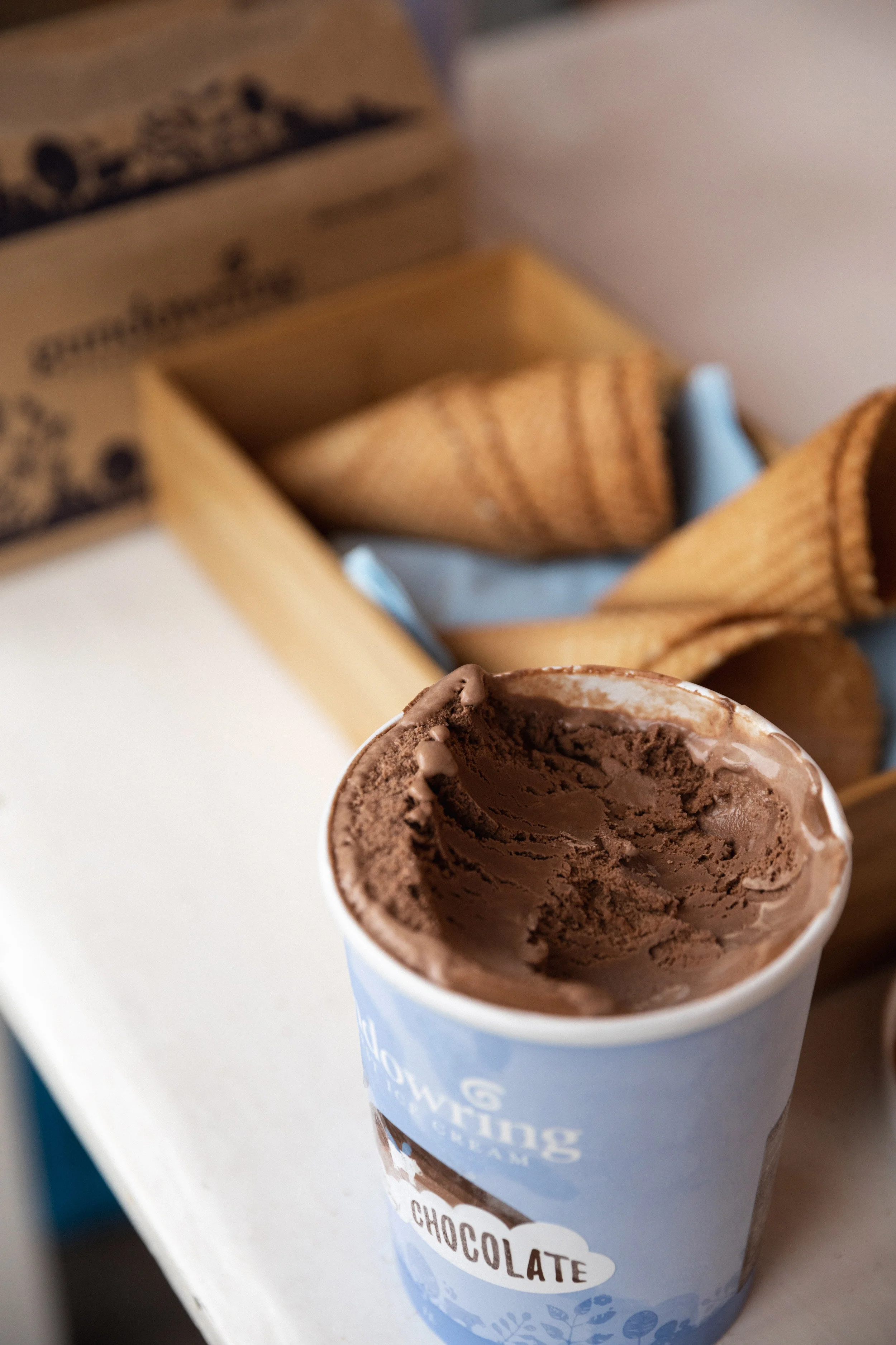 Bri-Hammond-Gundowring-Ice-Cream-11.jpg