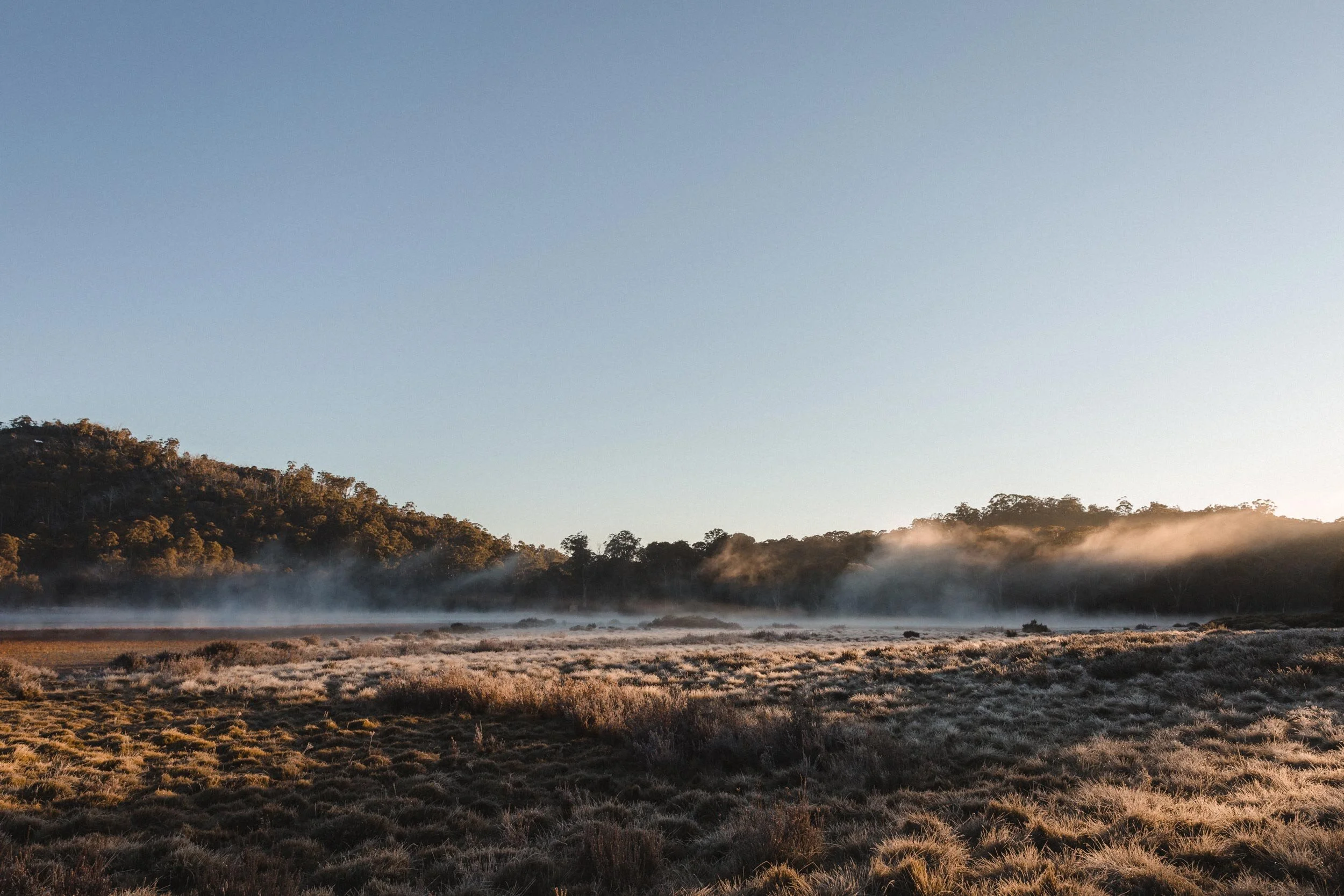 BriHammond-undersky-camping-mt-buffalo3.jpg